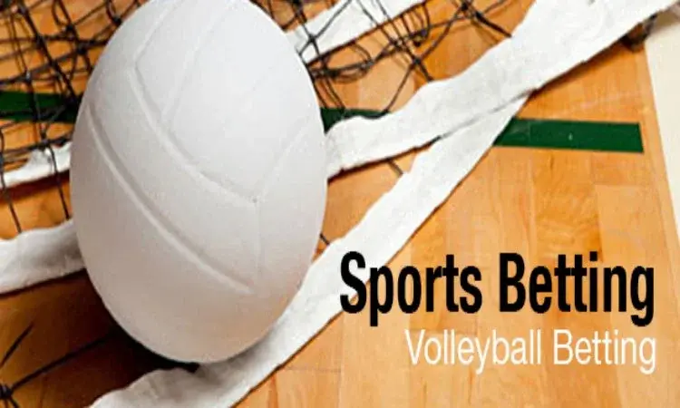 volleyball betting