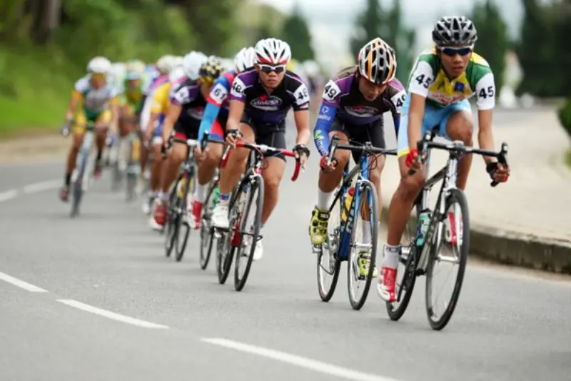 How experts win when betting on cycling