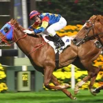 Horse Racing Betting Tips from Experienced Experts