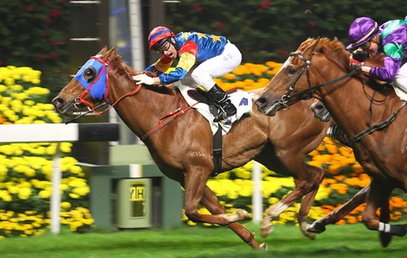 Horse Racing Betting Tips from Experienced Experts