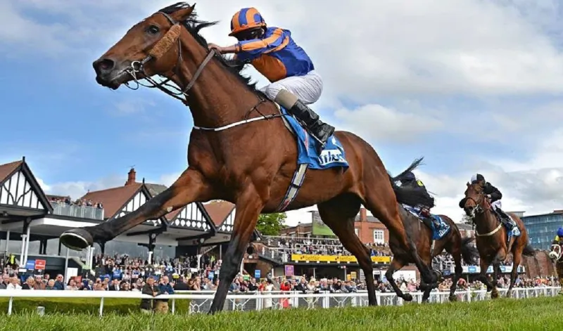 Introduction to the hot horse racing game on betting entertainment platforms