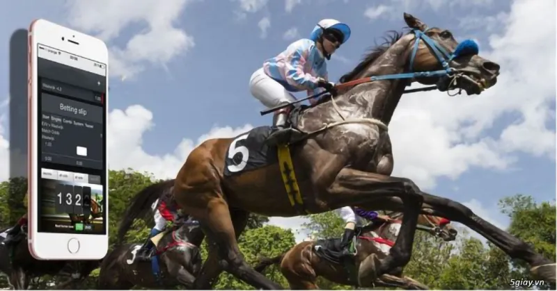 Research the horse's parameters before investing